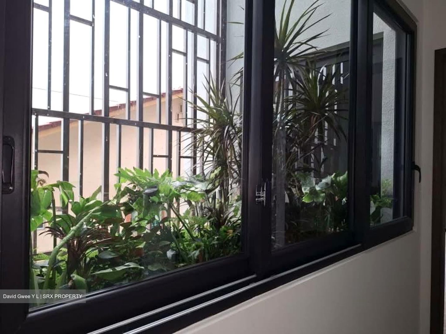 Henry Park (D10), Terrace #535350321